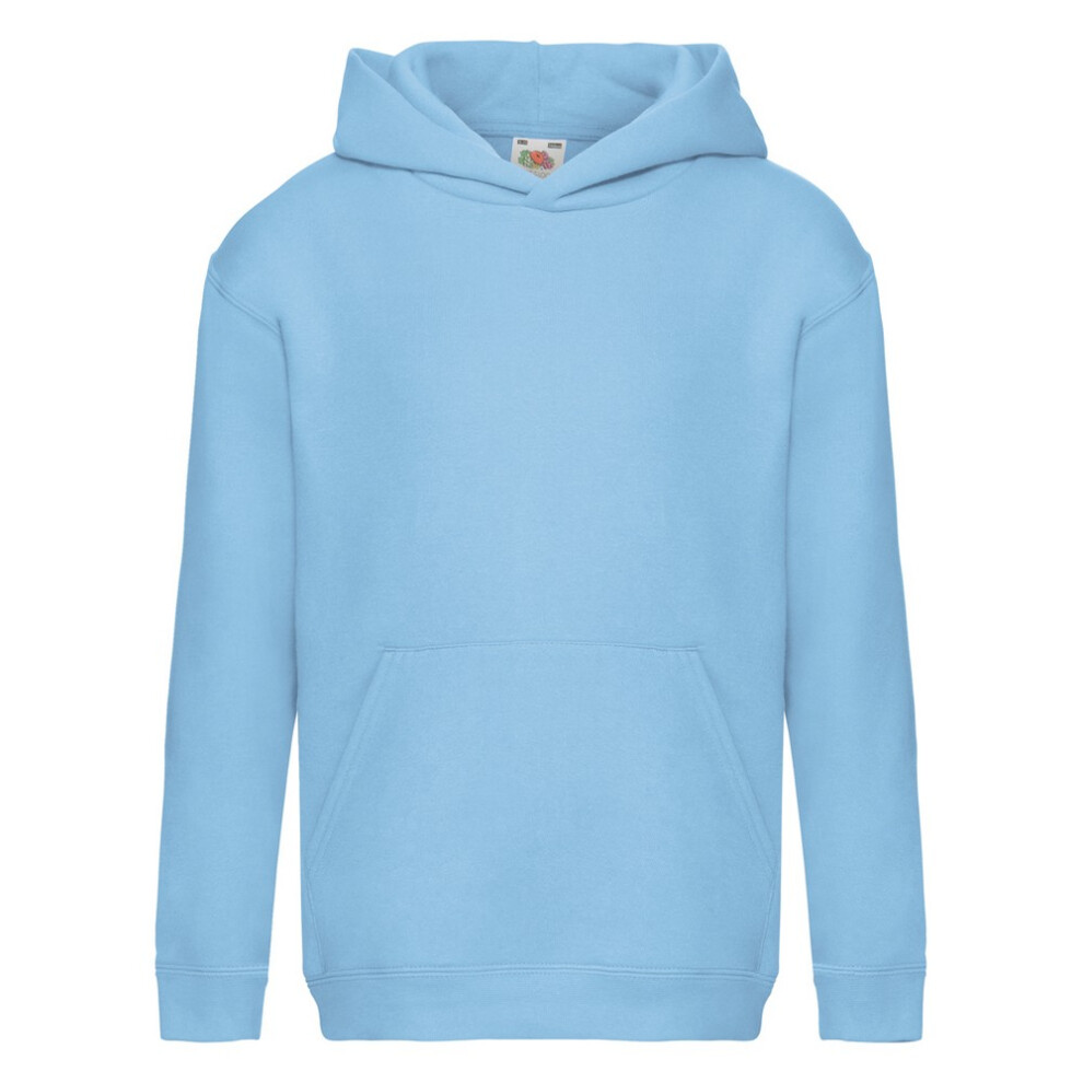 (14-15 Years, Sky Blue) Fruit of the Loom Childrens/Kids Premium Hooded Sweatshirt