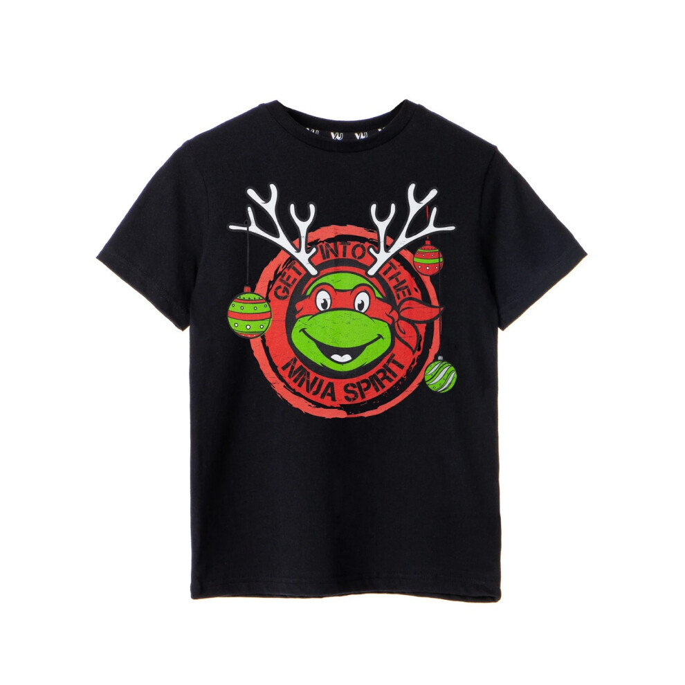 (13-14 Years, Black) Teenage Mutant Ninja Turtles Boys Get Into The Ninja Spirit T-Shirt