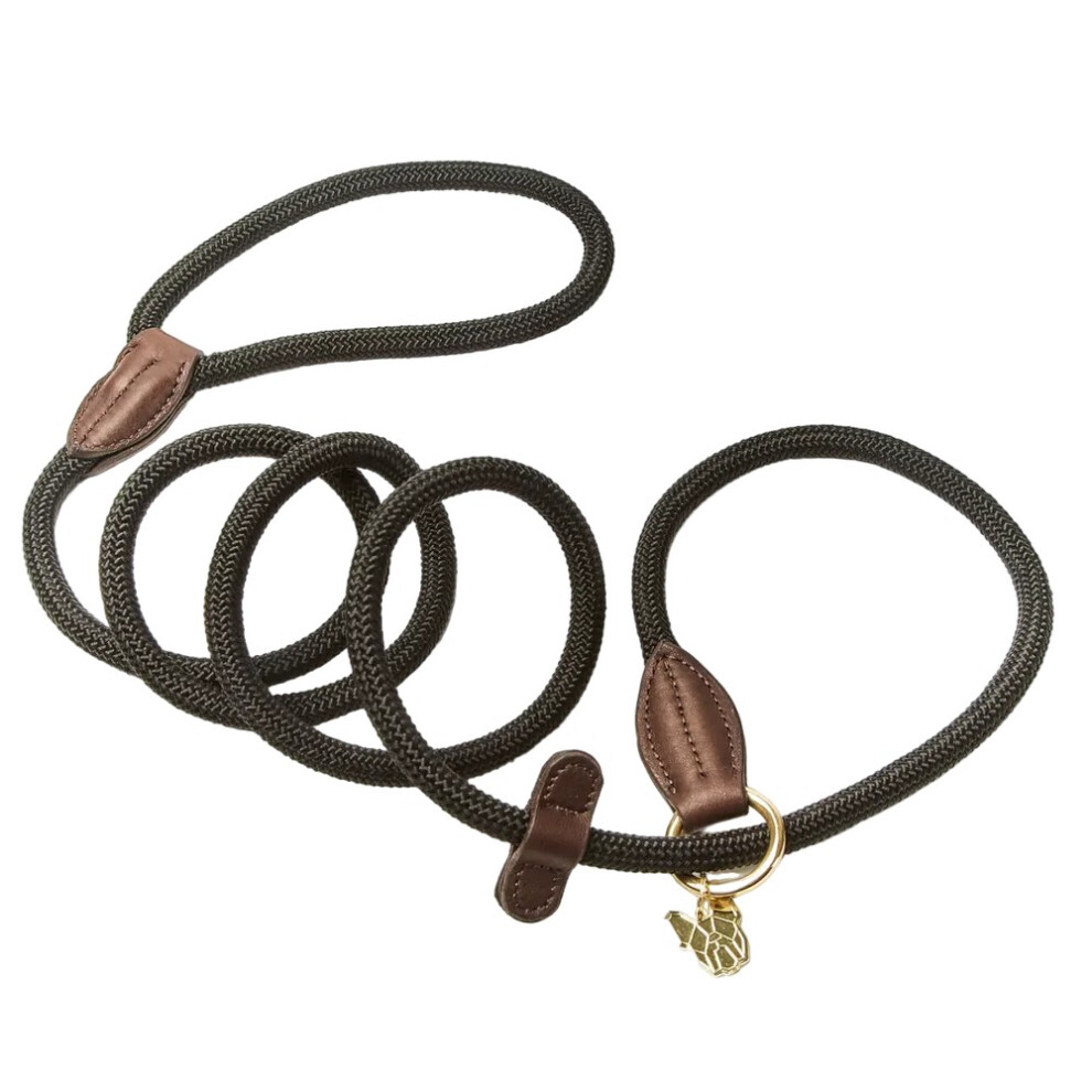 (One Size, Black) Digby & Fox Leather Dog Slip Lead