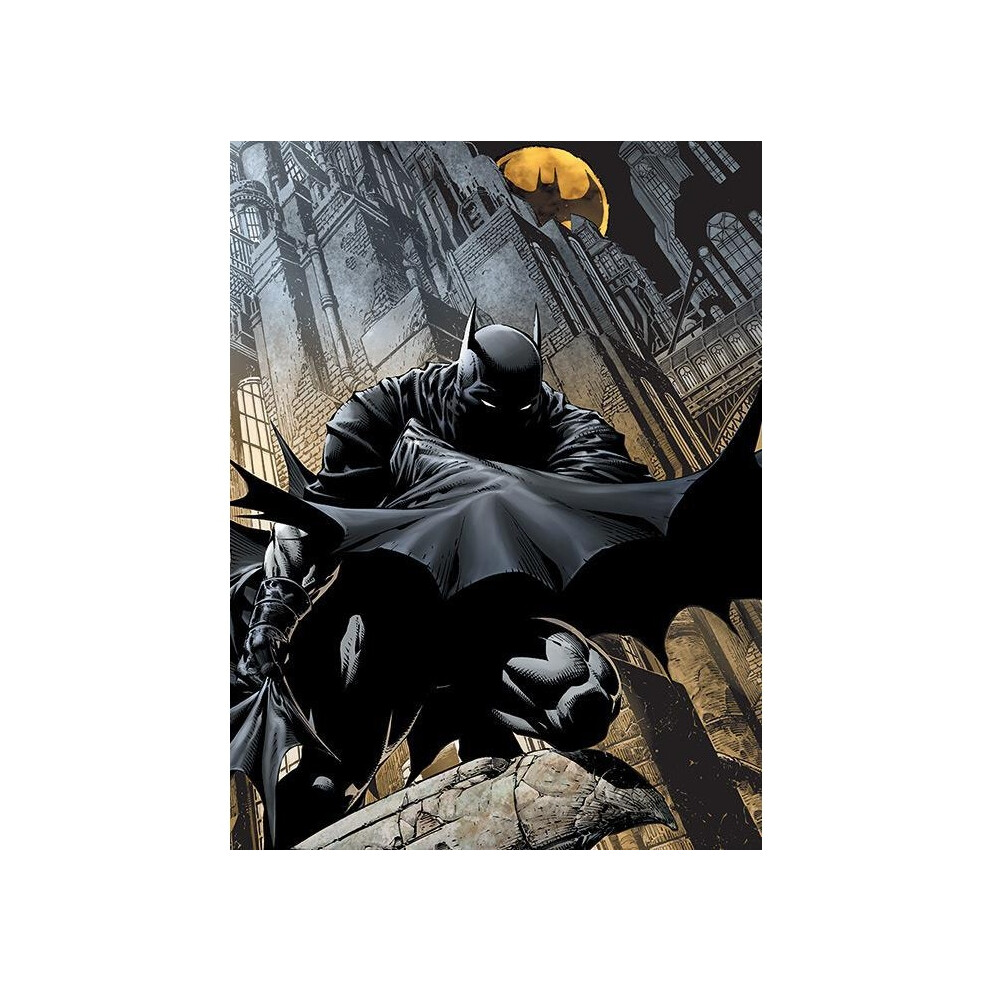 Batman Night Watch Canvas Print