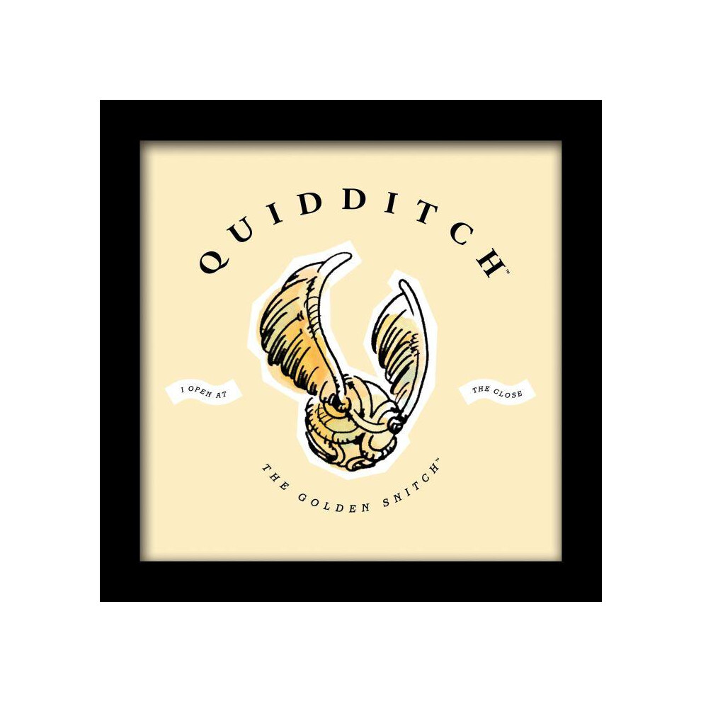 Harry Potter Quidditch Watercolour Framed Art Print