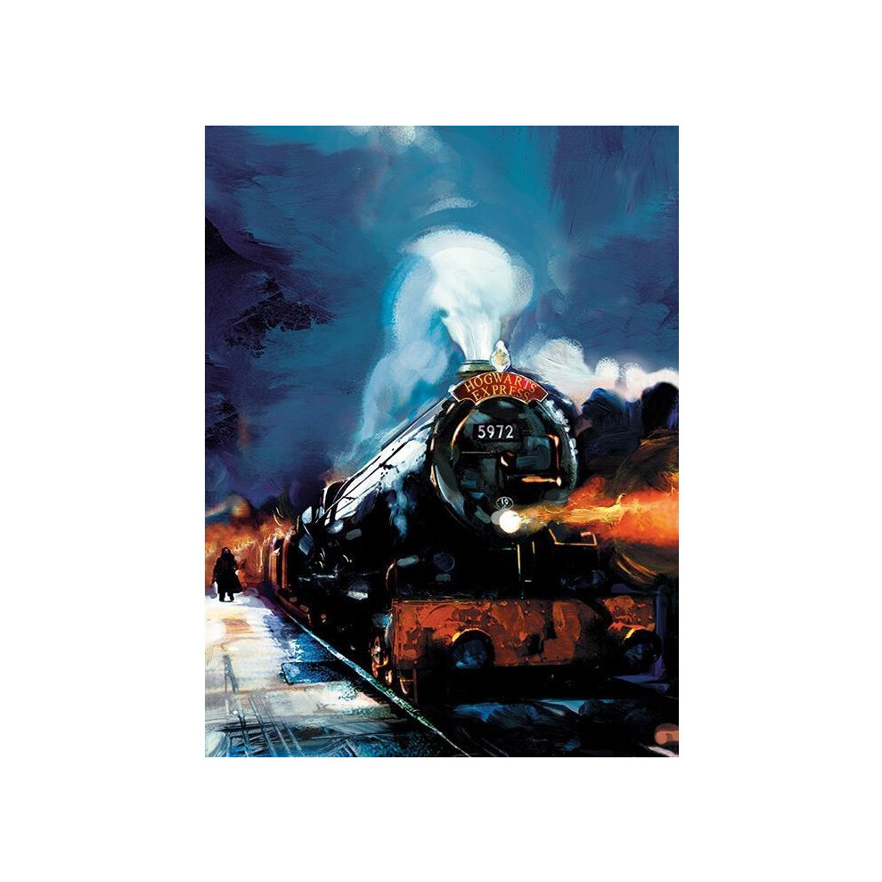 Harry Potter Hogwarts Express Painted Canvas Print