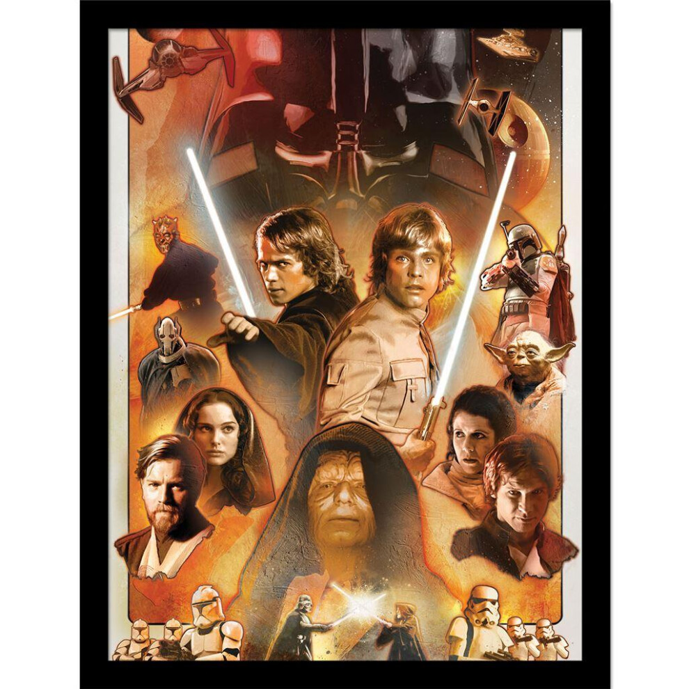 Star Wars Characters Framed Poster