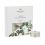 Wax Lyrical Wax Lyrical Fresh Eucalyptus Pack of 9 Tealights 1