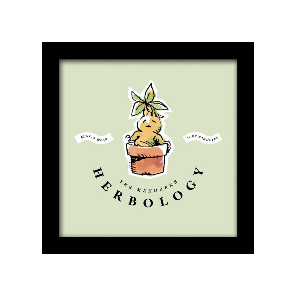 Harry Potter Herbology Watercolour Framed Art Print