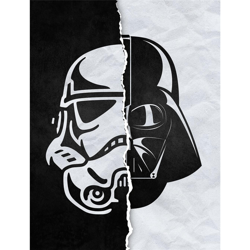 Star Wars Half / Half Darth Vader & Stormtrooper Canvas Print