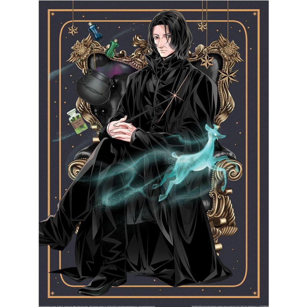 Harry Potter: Wizard Dynasty Chair Severus Snape Print