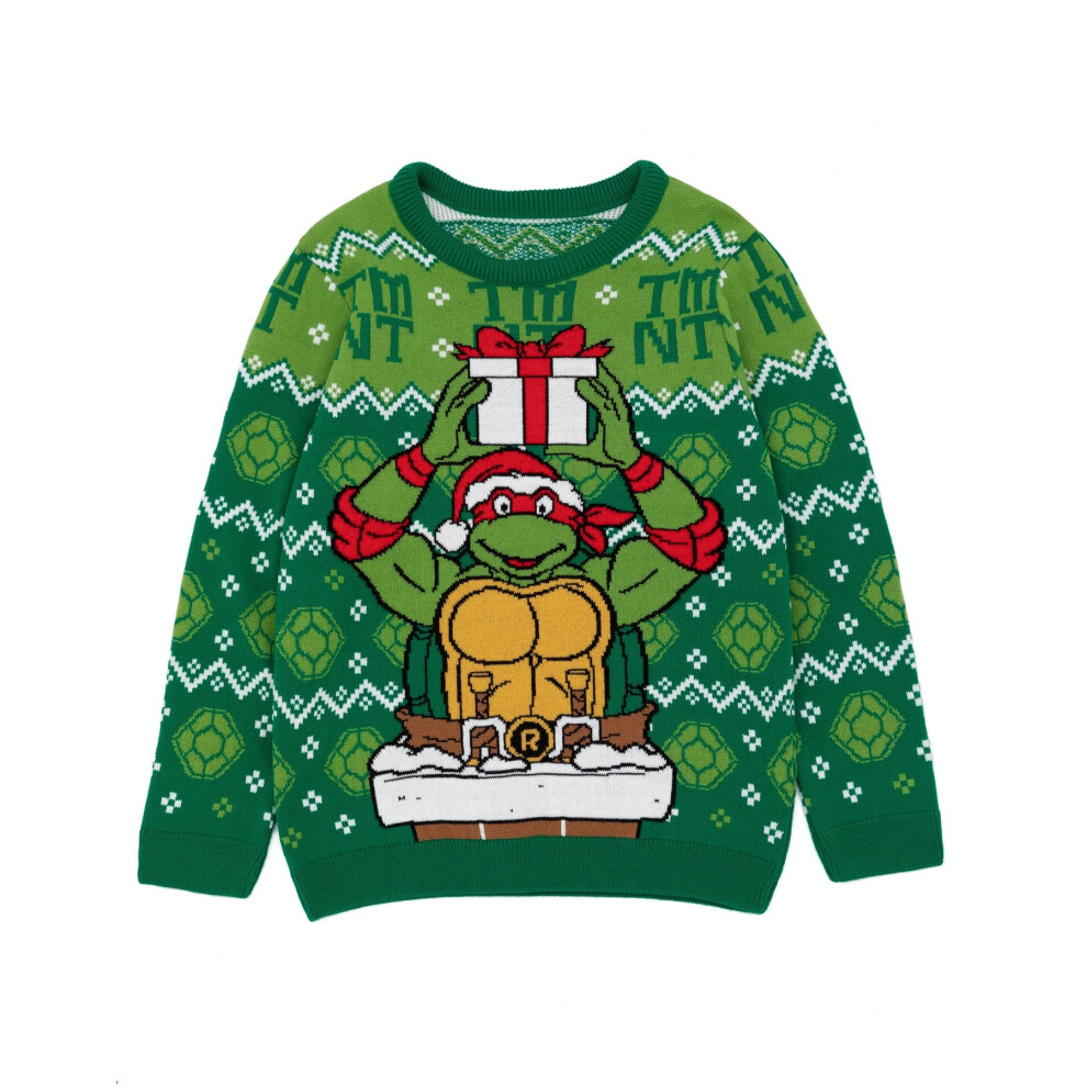 (7-8 Years, Green) Teenage Mutant Ninja Turtles Boys Knitted Christmas Jumper