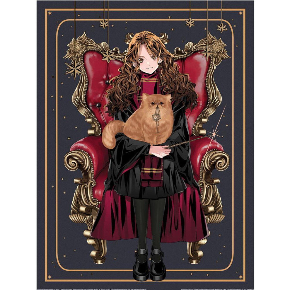 Harry Potter: Wizard Dynasty Hermione Chair Print