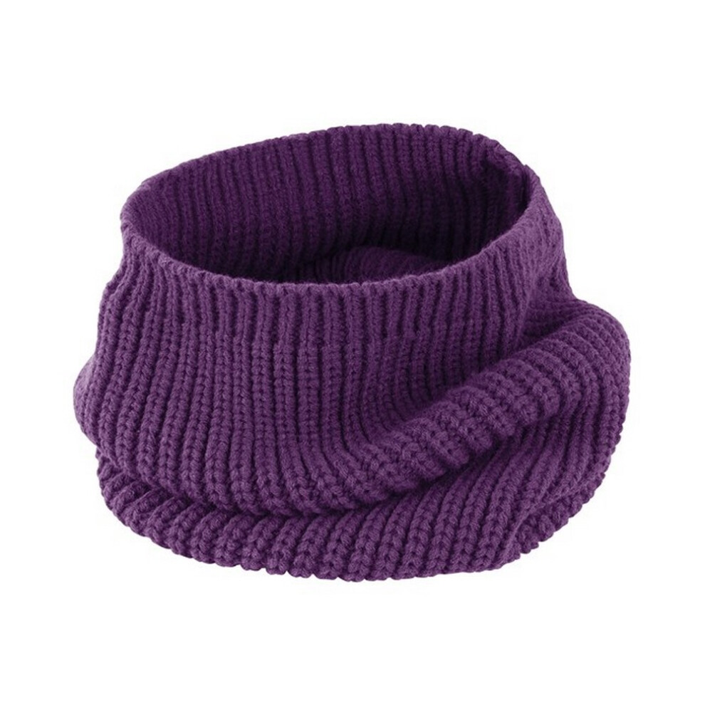 (One Size, Purple) Result Winter Essentials Unisex Adult Whistler Snood Hood