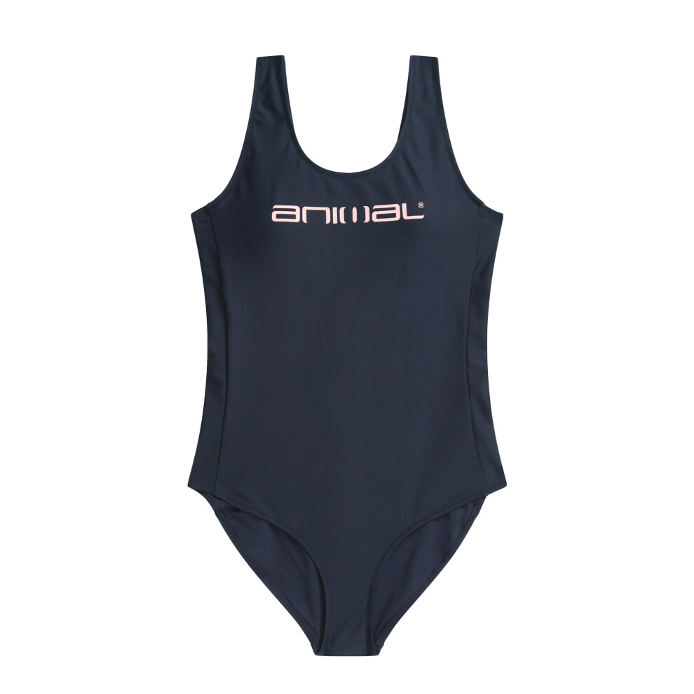 (16 UK, Navy) Animal Womens/Ladies Zaley Core One Piece Swimsuit