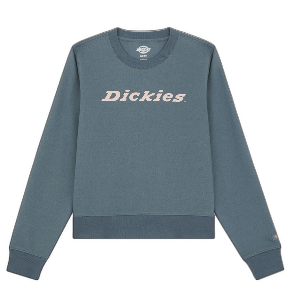 (S, Stormy Weather) Dickies Womens/Ladies Wordmark Heavyweight Crew Neck Sweatshirt