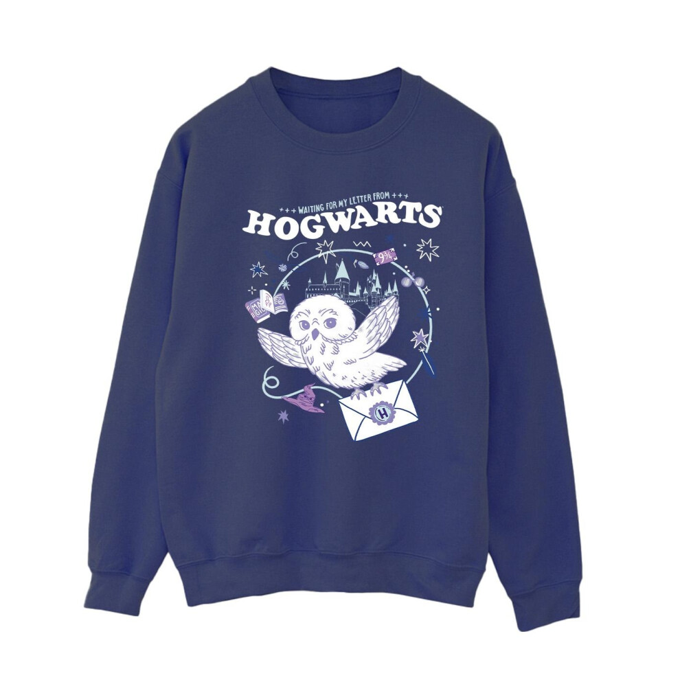 Owl Letter From Hogwarts Sweatshirt