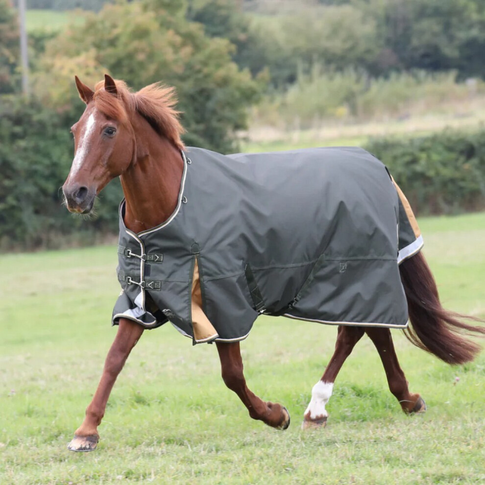 (6' 9", Green) Highlander Plus Standard-Neck 50g Horse Turnout Rug