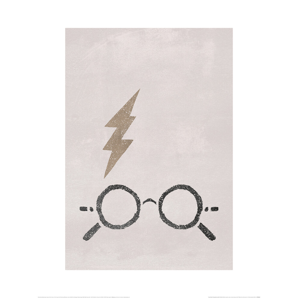 Harry Potter The Boy Who Lived Paper Print