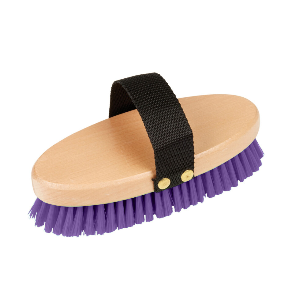 (One Size, Deep Purple) Roma Brights Body Brush