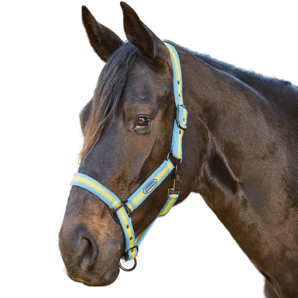 (Cob, Light Blue/Gold/Sand) Weatherbeeta Coordinate Horse Headcollar