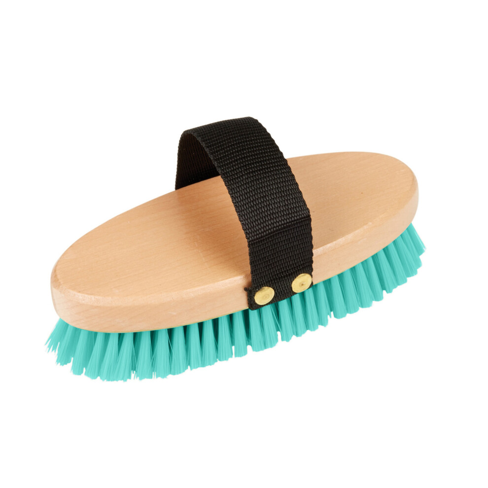 (One Size, Turquoise) Roma Brights Body Brush