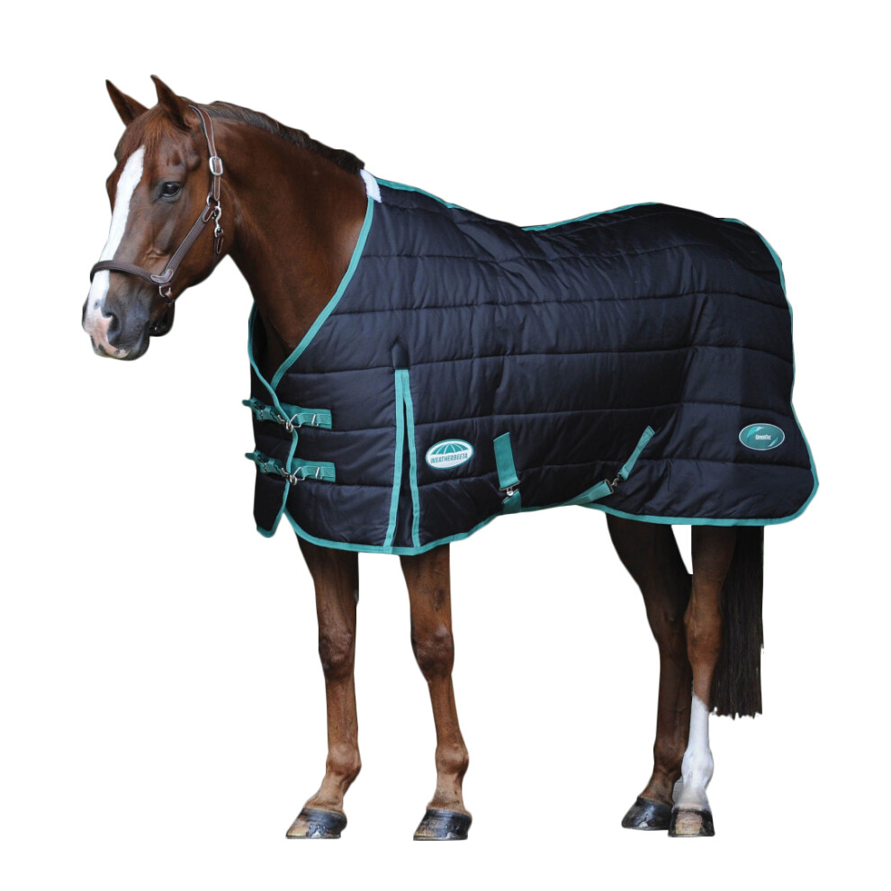 (4' 3", Black/Bottle Green) Weatherbeeta Green-Tec Standard-Neck Medium Lightweight Horse Stable Rug