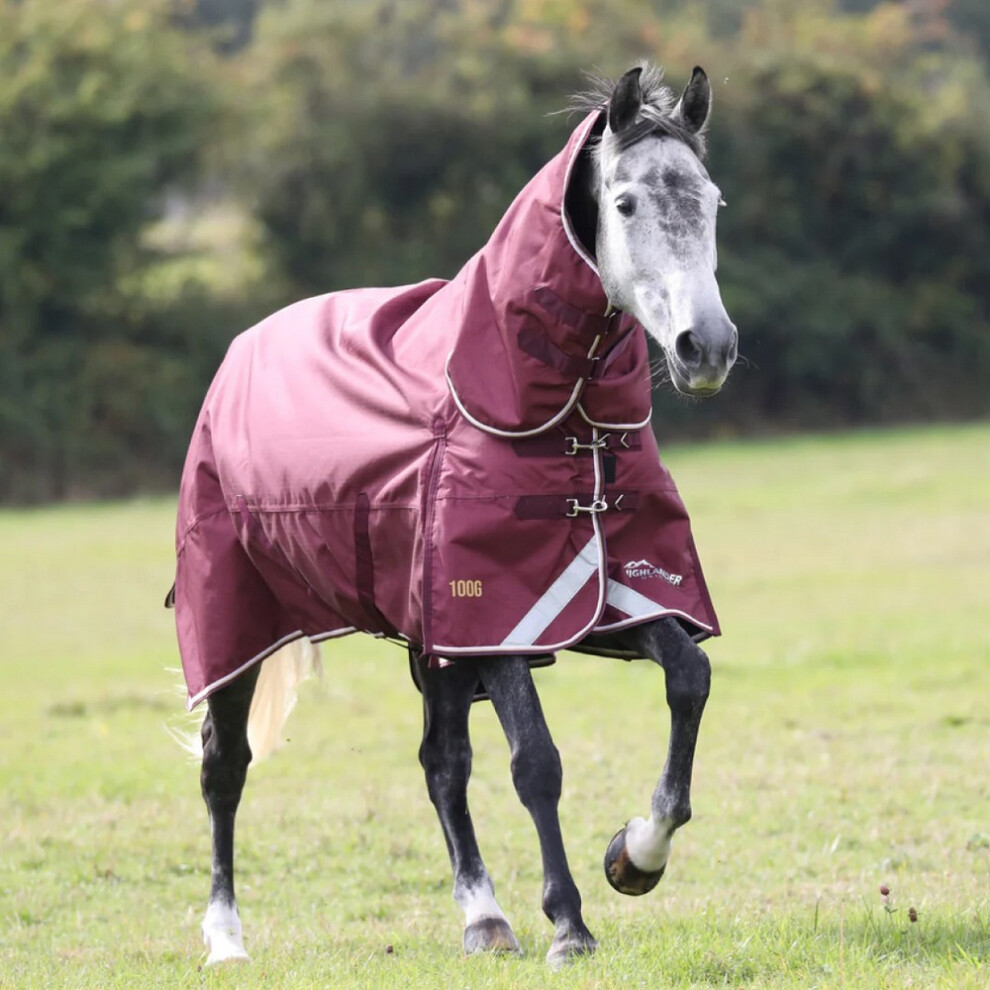 (5' 9", Maroon) Highlander Plus Combo Neck 100g Horse Turnout Rug