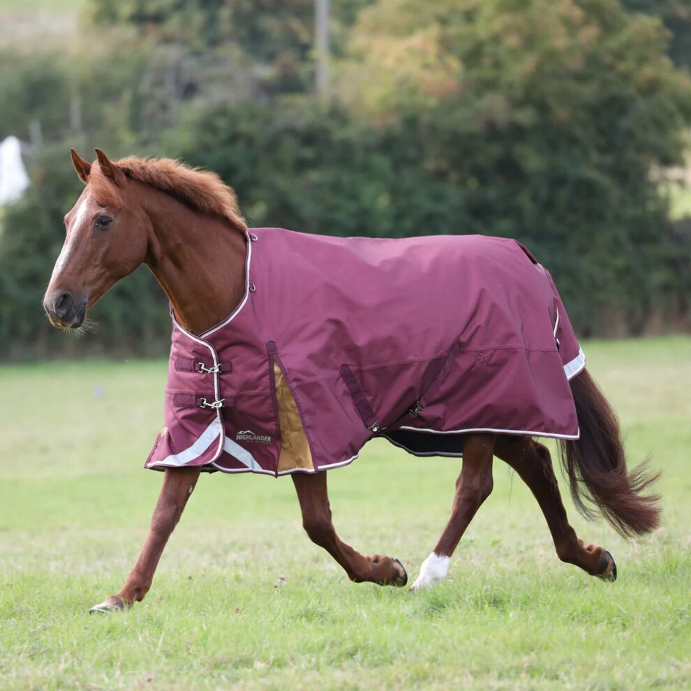 (7' 3", Maroon) Highlander Plus Standard-Neck 100g Horse Turnout Rug