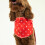 Joules Joules Hello Polka Dot Dog Scarf 3