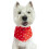 Joules Joules Hello Polka Dot Dog Scarf 2