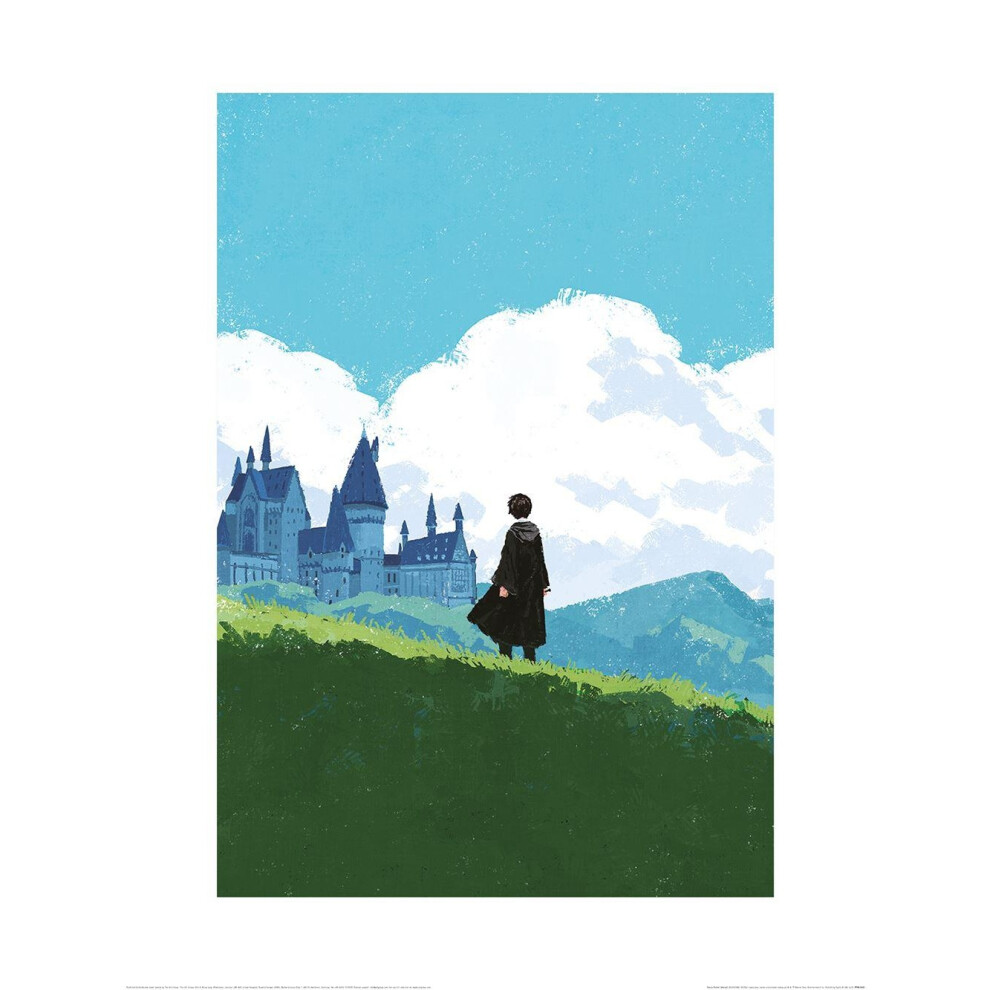 (80cm x 60cm, Blue/Green) Harry Potter Harry Print