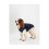 Joules Joules Cherington Dog Coat 2