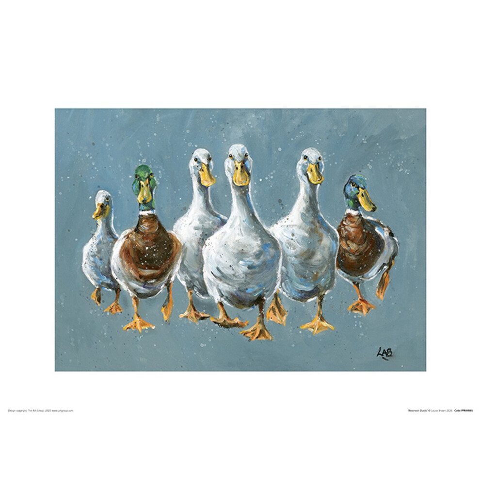 Louise Brown Reservoir Ducks Print