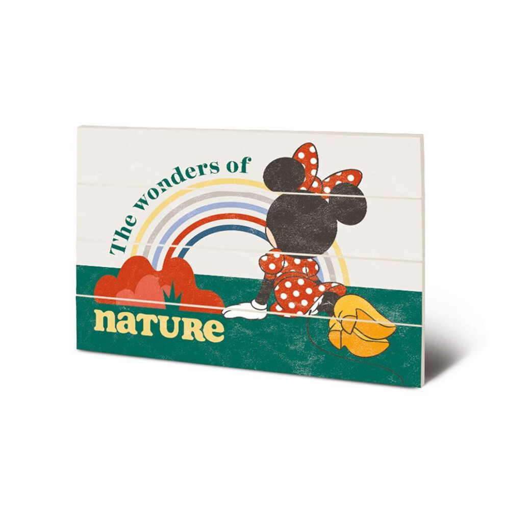 Mickey Mouse The Wonders Of Nature Plaque