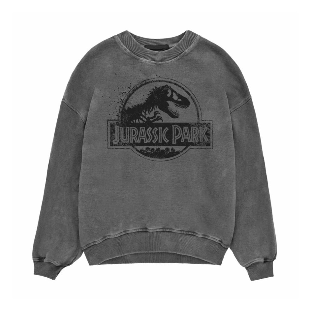 (S, Black) Jurassic Park Unisex Adult Spray Logo Sweatshirt