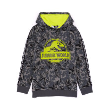 Jurassic World Childrens/Kids Hoodie