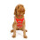 Friends (M, Red) Friends Central Perk Christmas Dog Pyjamas 2