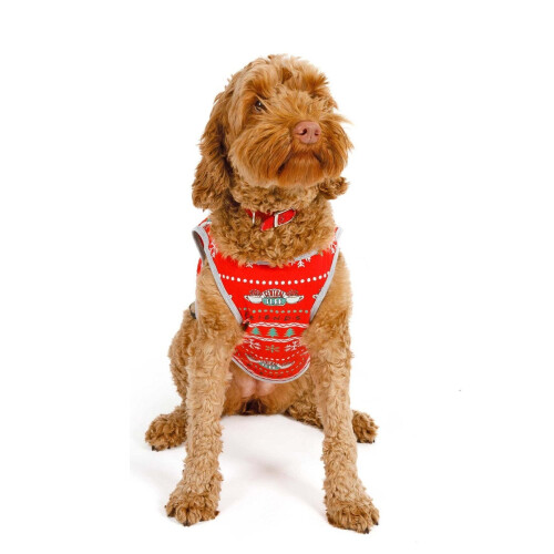 Friends (M, Red) Friends Central Perk Christmas Dog Pyjamas 1