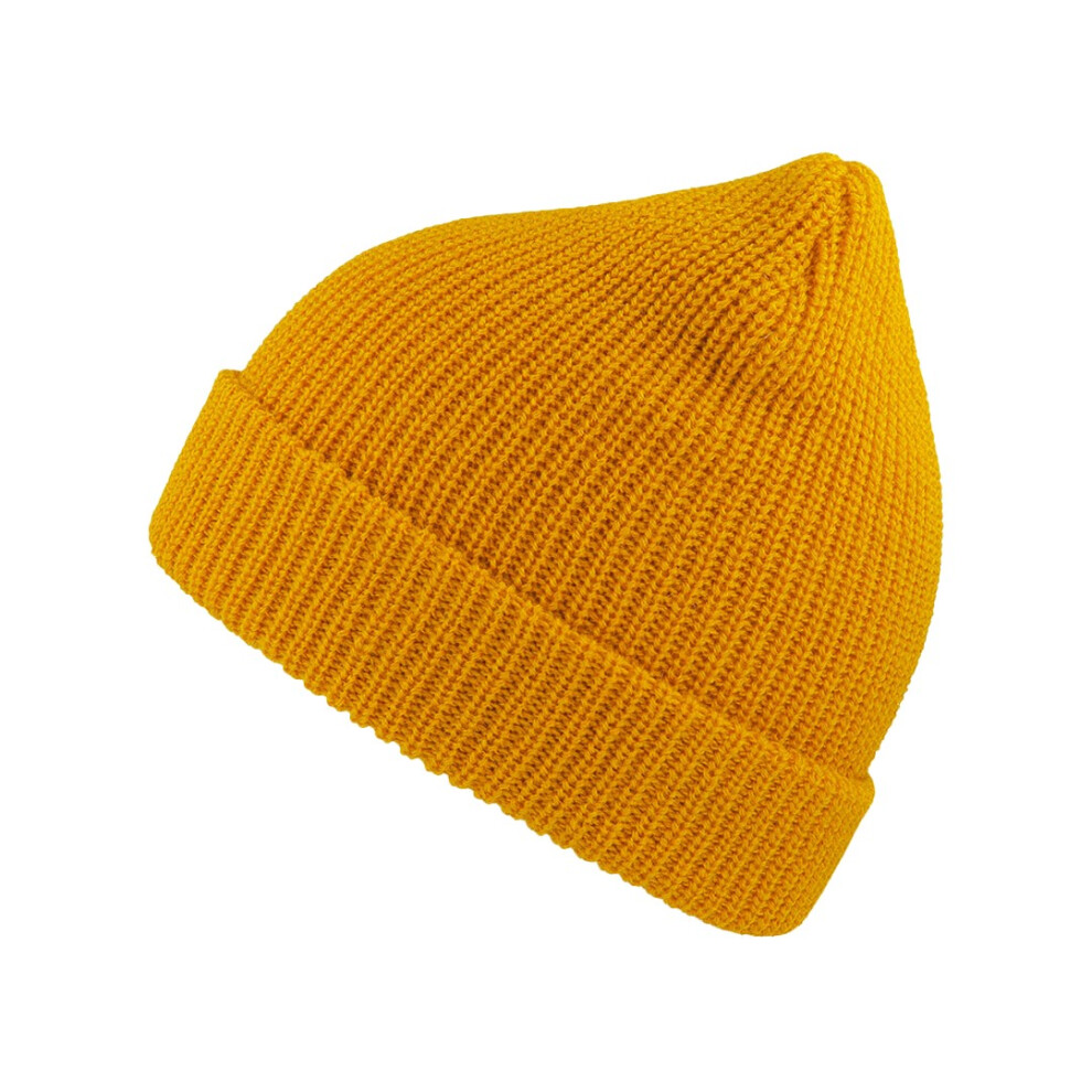 (One Size, Yellow) Atlantis Woolly Wool Blend Beanie-image-OPC-P8WVJW6-NEW