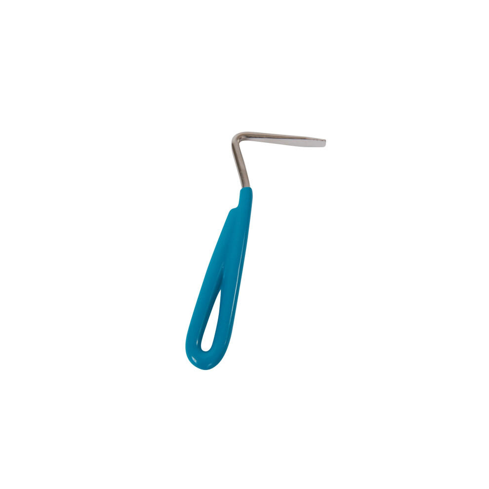 (One Size, Teal) Roma Vinyl Handle Hoof Pick