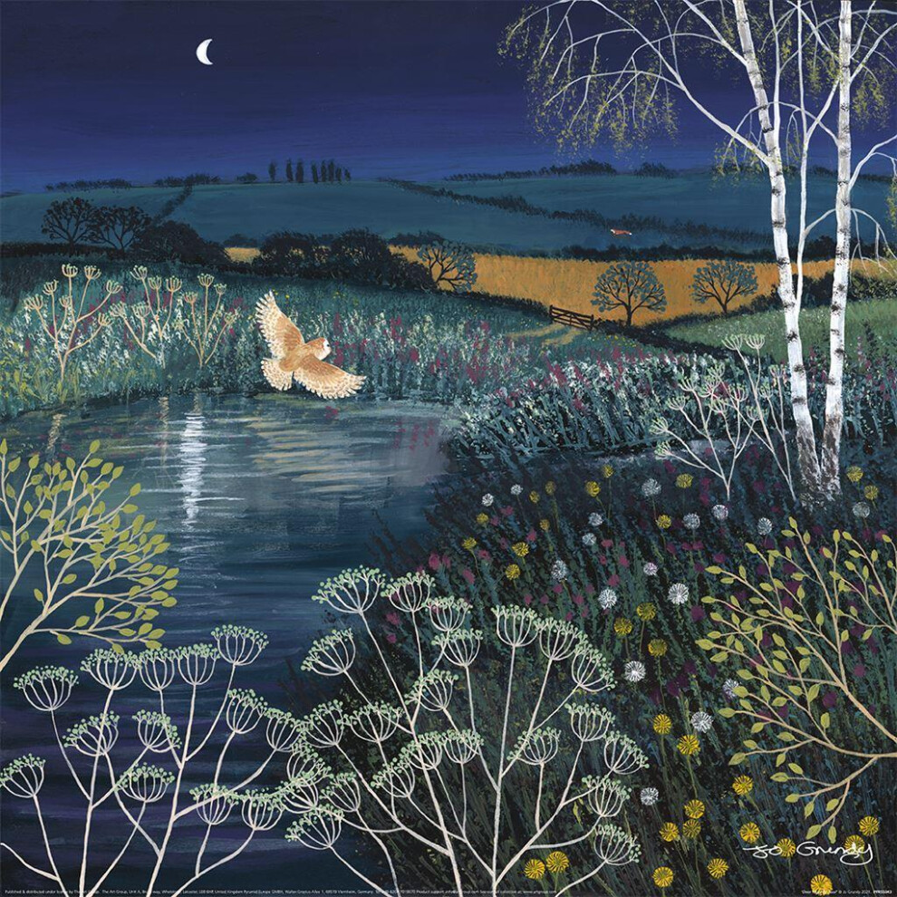 Jo Grundy Over Moonlit Pool Poster 40X40 Cm – Moon, Owl, Pool, Trees & Wildflowers – Officially Licensed