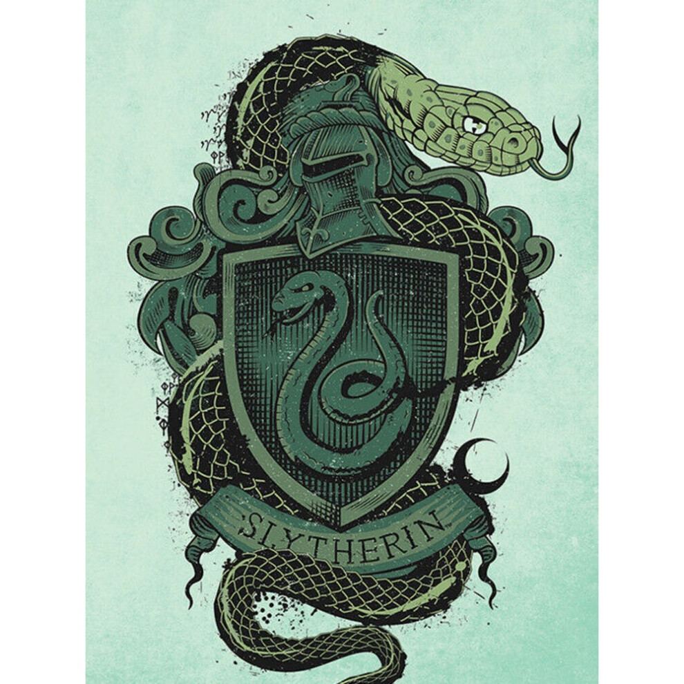 Harry Potter Slytherin Canvas Print