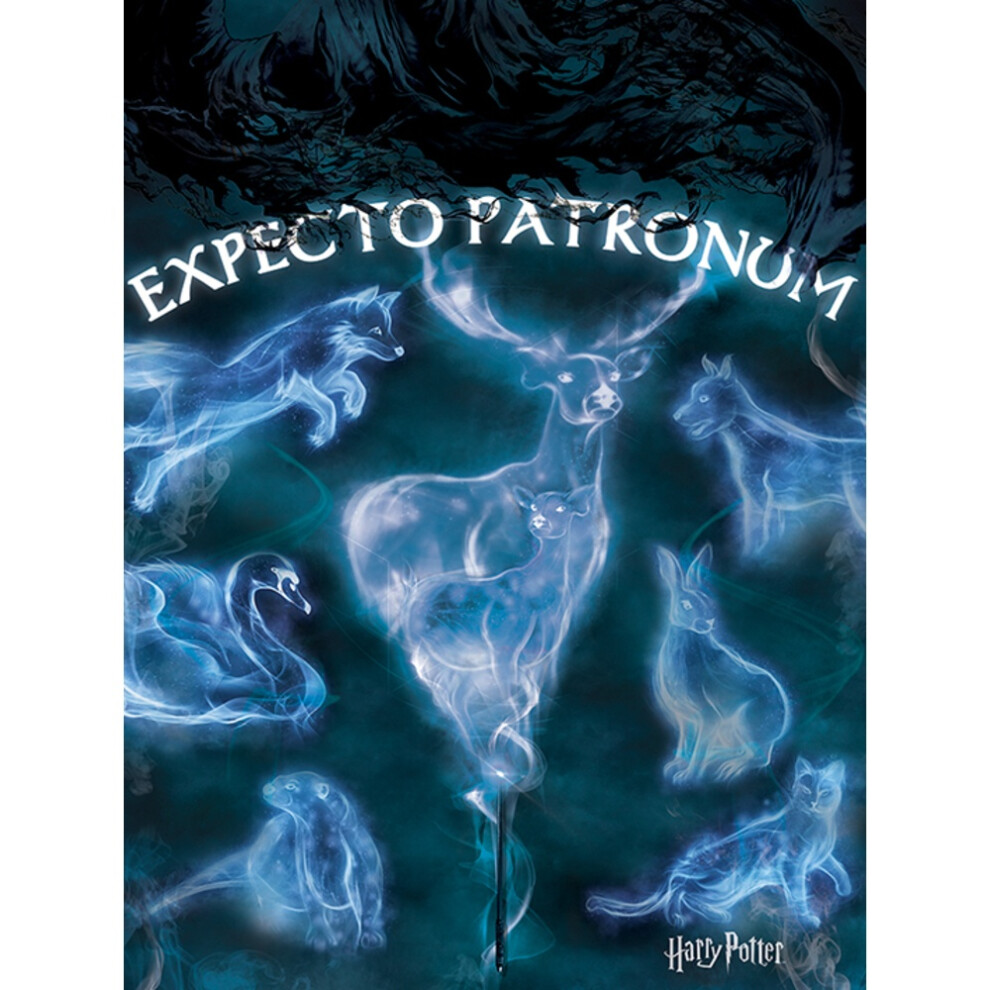 Harry Potter Expecto Patronum Canvas Print