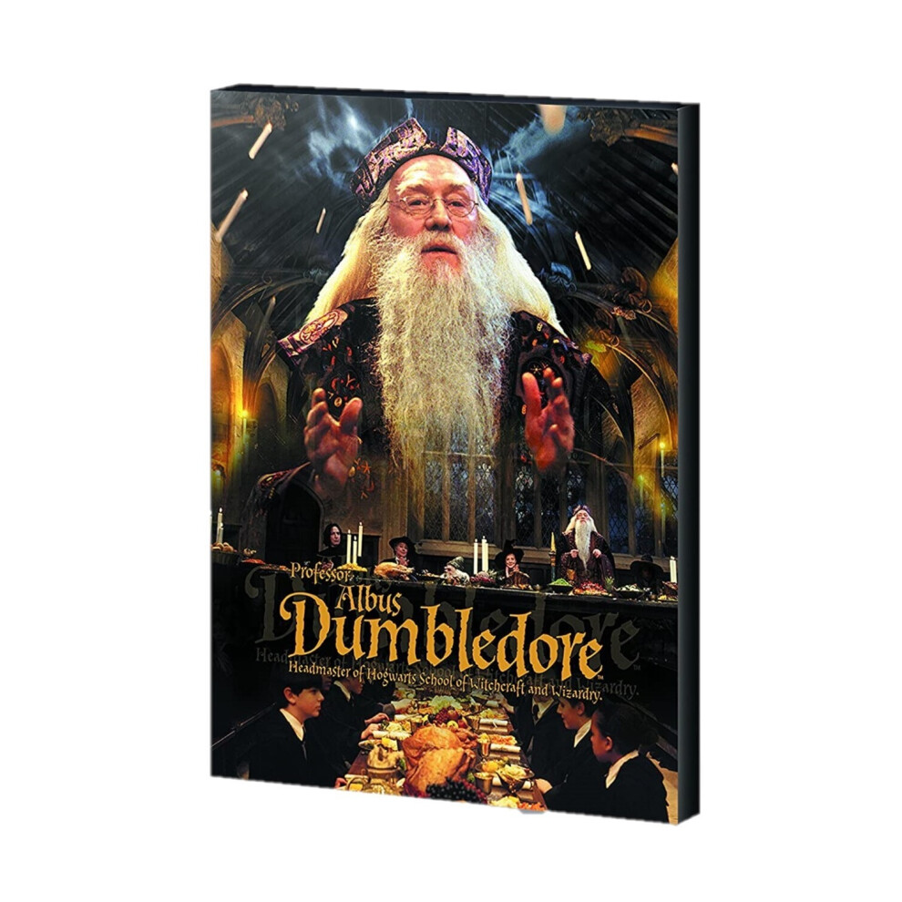 Harry Potter Dumbledore Canvas Print