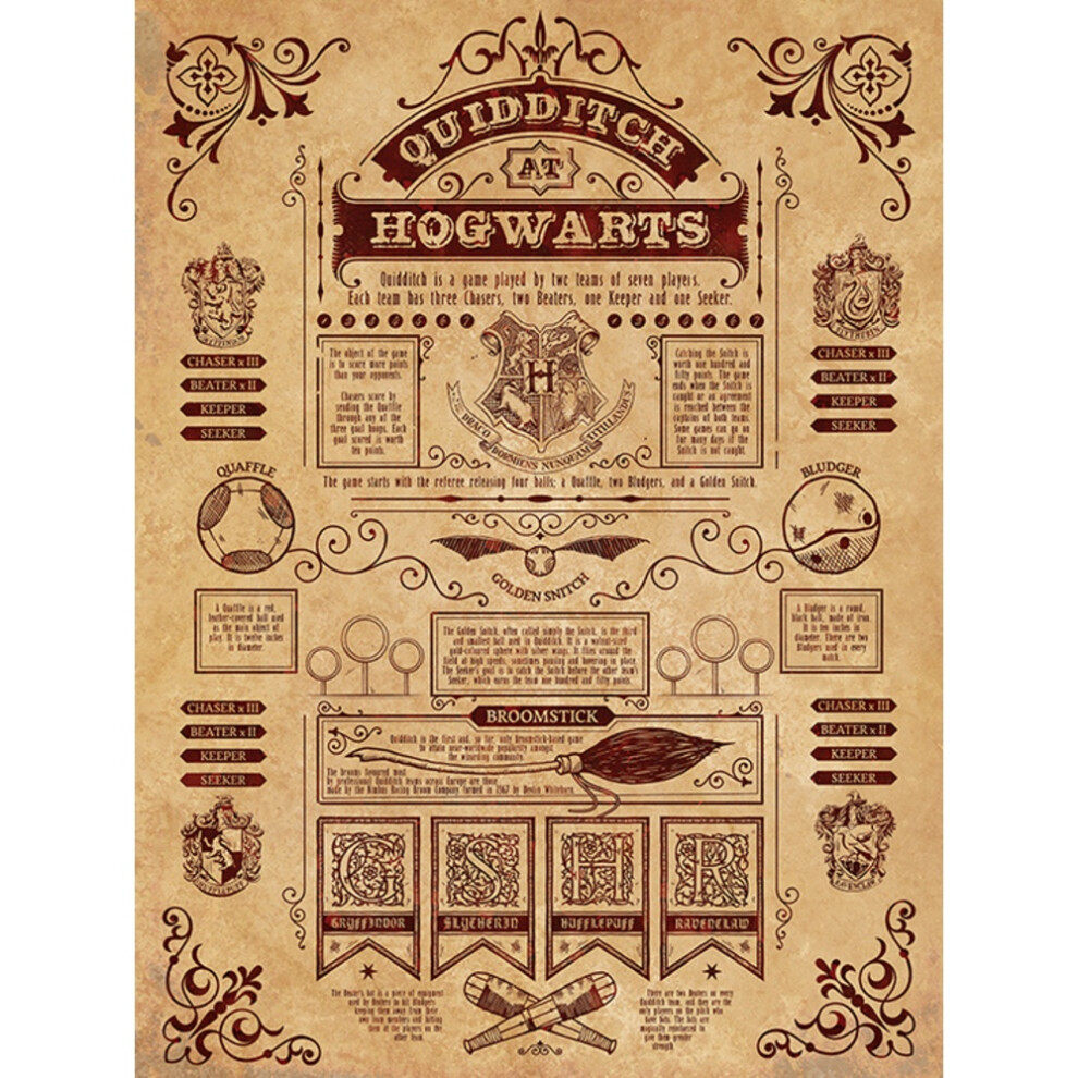 Harry Potter Quidditch Canvas Print