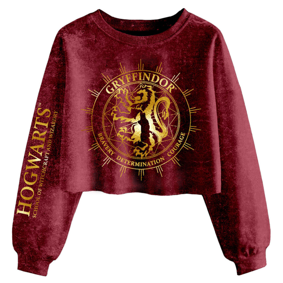 Gryffindor Constellation Acid Wash Crop Sweatshirt