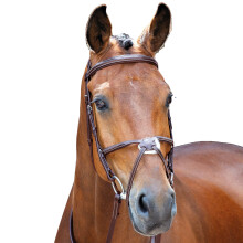 Salisbury Brackley Leather Stitch Horse Bridle