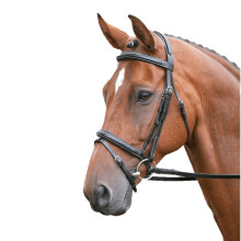 Salisbury Bodenham Leather Stitch Horse Bridle