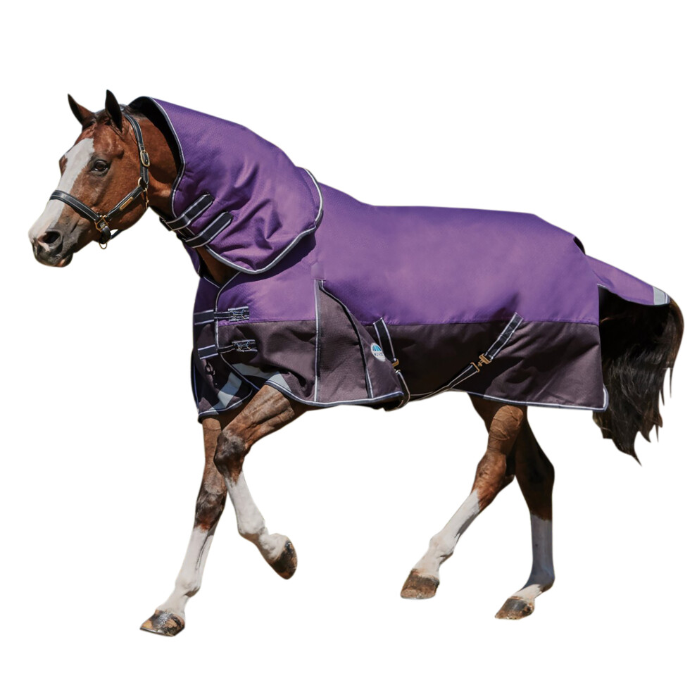 Weatherbeeta Comfitec Lite Plus Dynamic Detach-A-Neck Turnout Rug