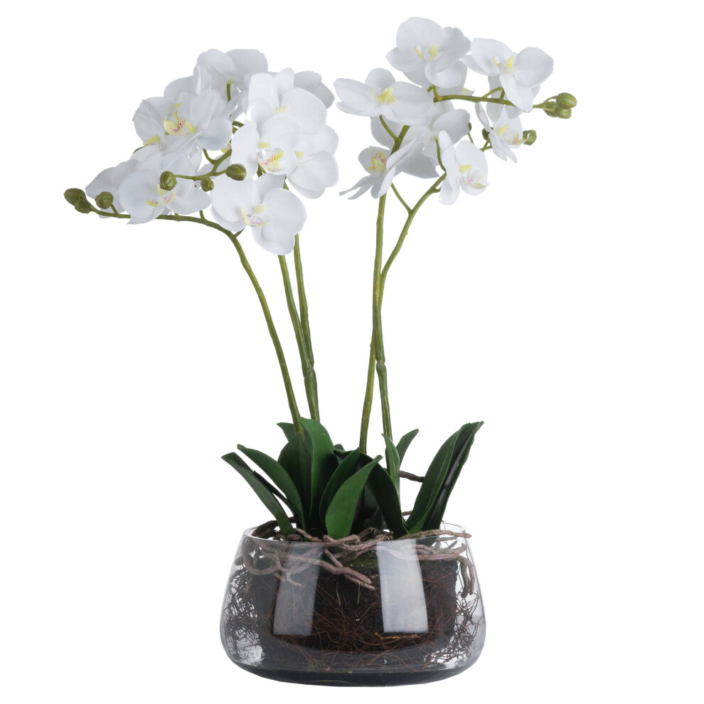 Hill Interiors Orchid In Glass Pot