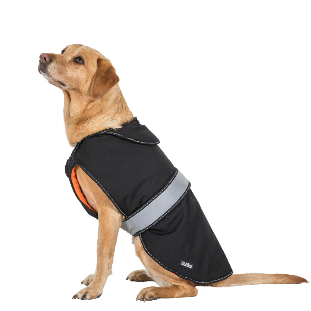 Butch Touch Fastening Softshell Dog Jacket