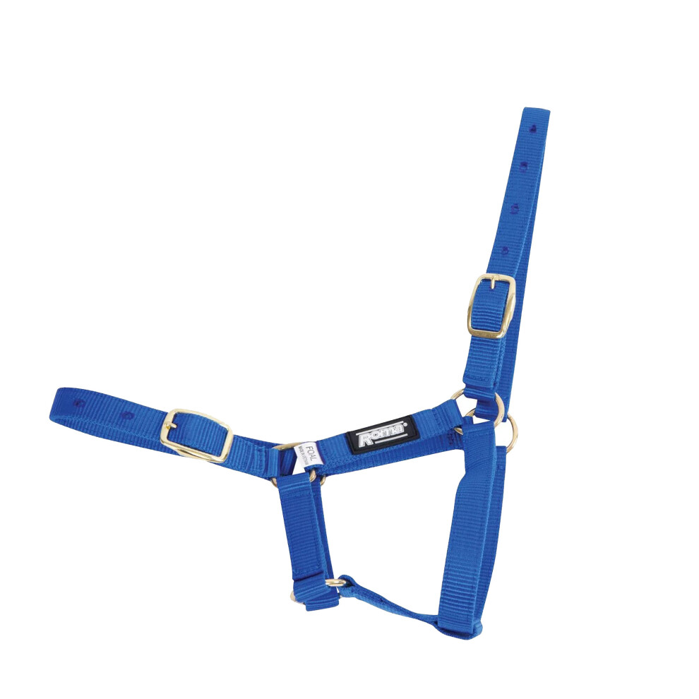 (Foal, Blue) Roma Foal Headcollar