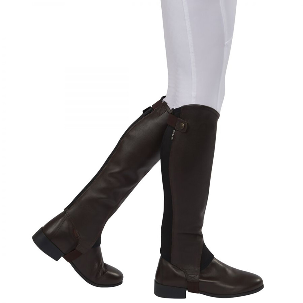 (XS, Brown) Dublin Adults Unisex Fusion Leather Half Chaps